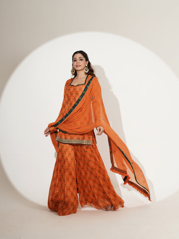 Printed Shirt & Sharara Set with Embellished Dupatta
