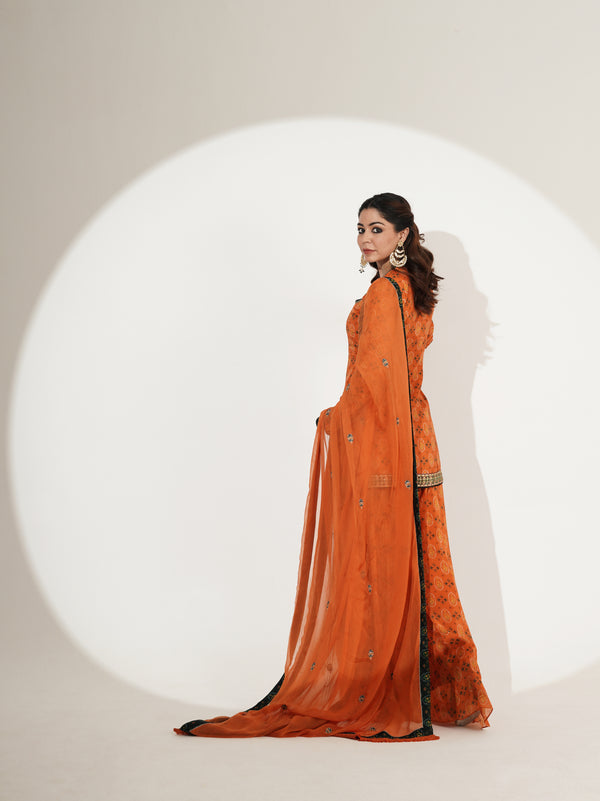 Printed Shirt & Sharara Set with Embellished Dupatta